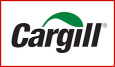 Castrol